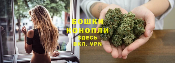 стаф Баксан