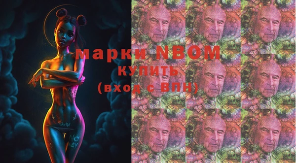 стаф Баксан