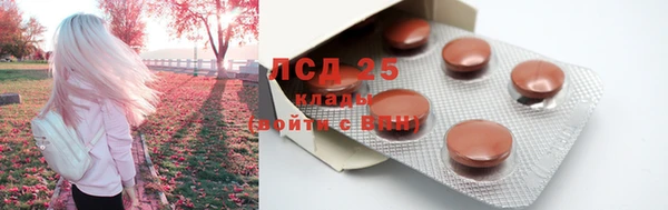 стаф Баксан