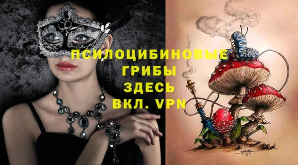 ГАЛЛЮЦИНОГЕННЫЕ ГРИБЫ Балабаново