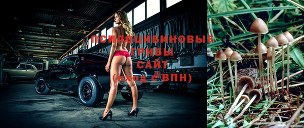 2c-b Балахна
