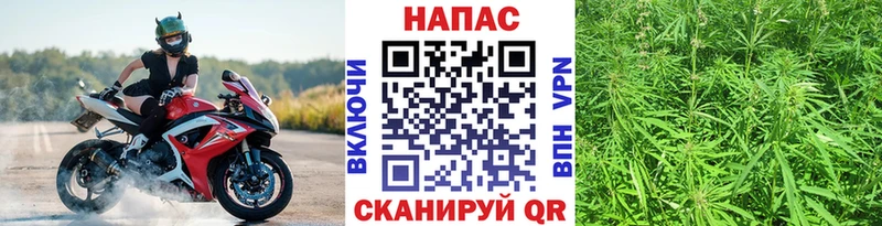 Бошки Шишки ГИДРОПОН  KRAKEN рабочий сайт  сайты даркнета состав  Реутов 